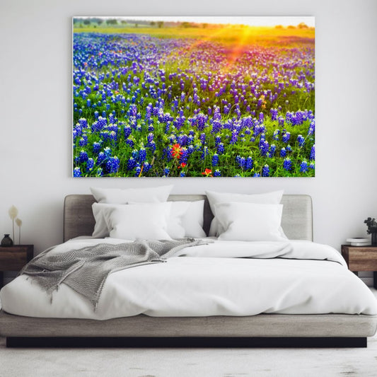 Bluebonnet Sunrise — Texas Wildflower Fine Art Photography Print