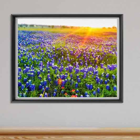 Bluebonnet Sunrise — Texas Wildflower Fine Art Photography Print
