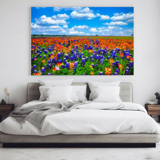 Field of Dreams — Texas Bluebonnet & Indian Paintbrush Fine Art Photography Print