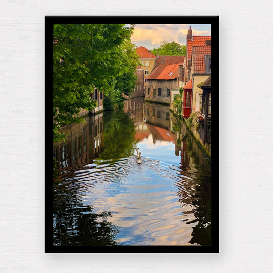 Swans of Bruges — Belgian Canal Fine Art Photography Print Digital Download