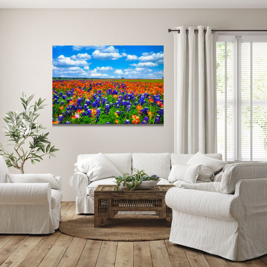 Field of Dreams — Texas Bluebonnet & Indian Paintbrush Fine Art Photography Print