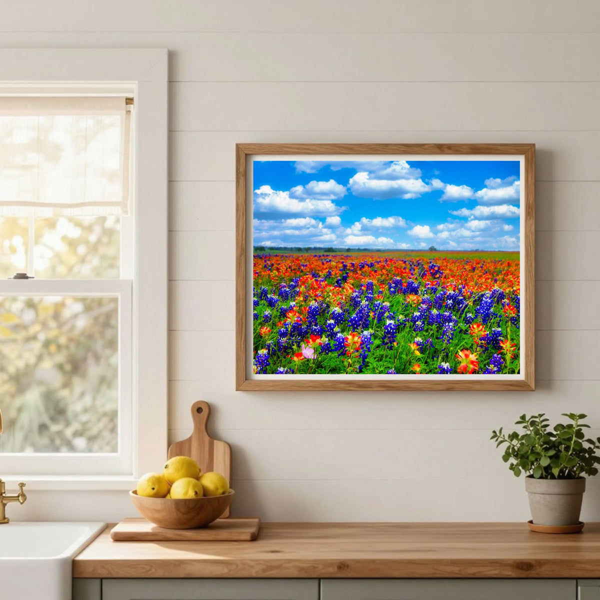 Field of Dreams — Texas Bluebonnet & Indian Paintbrush Fine Art Photography Print