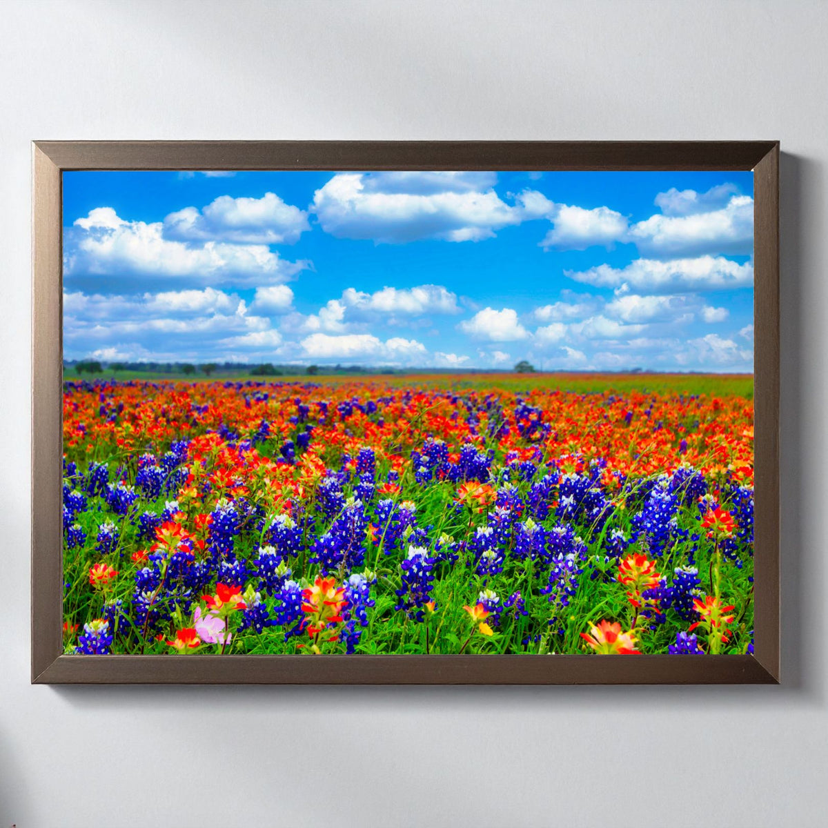 Field of Dreams — Texas Bluebonnet & Indian Paintbrush Fine Art Photography Print