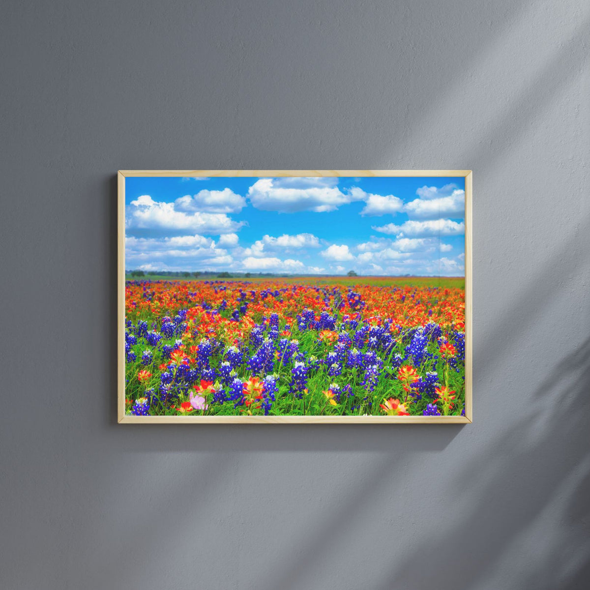 Field of Dreams — Texas Bluebonnet & Indian Paintbrush Fine Art Photography Print