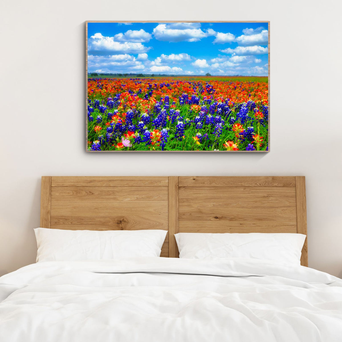 Field of Dreams — Texas Bluebonnet & Indian Paintbrush Fine Art Photography Print
