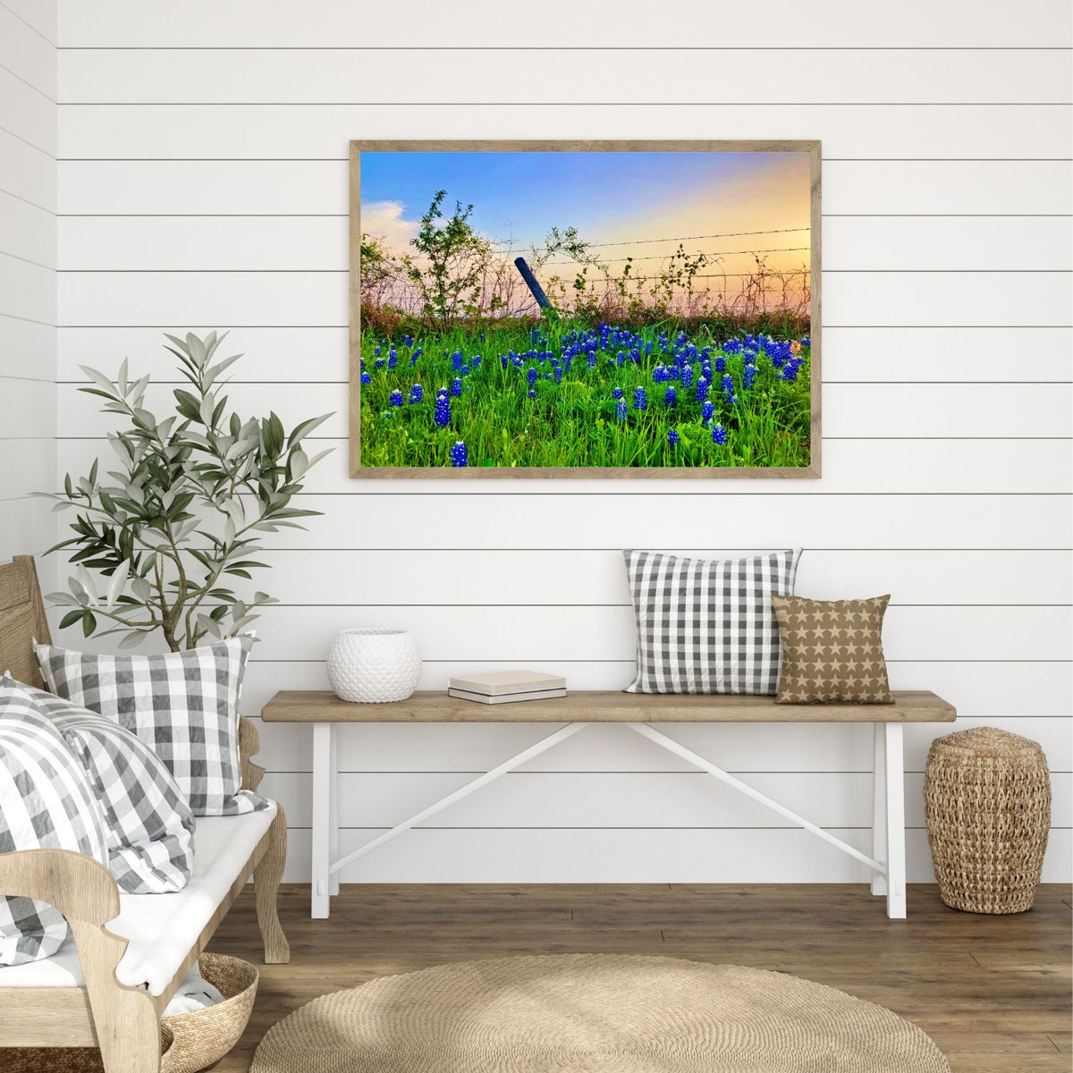 Bluebonnet Sunset — Texas Wildflower Fine Art Photography Print