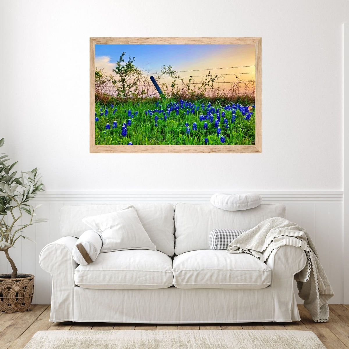 Bluebonnet Sunset — Texas Wildflower Fine Art Photography Print