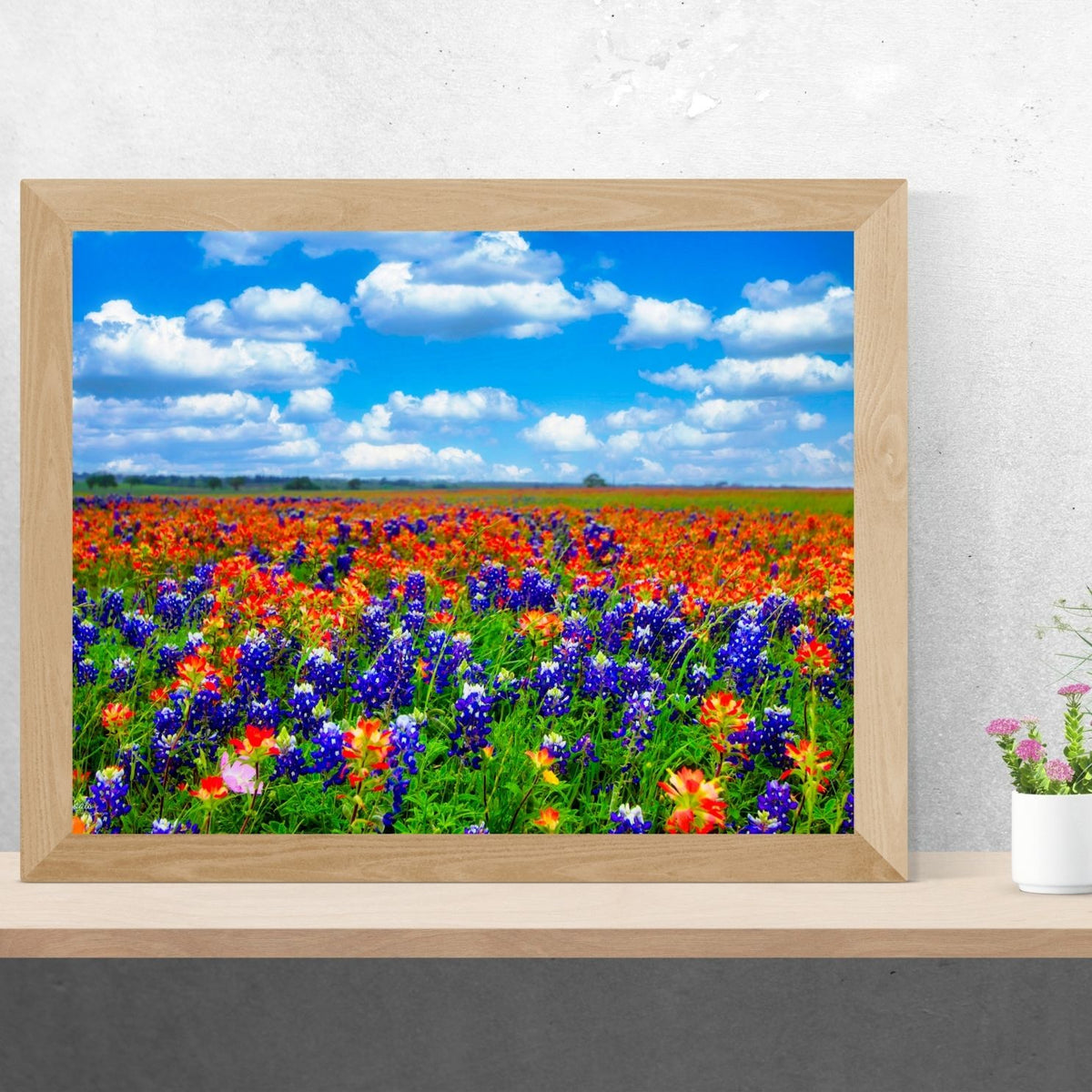 Field of Dreams — Texas Bluebonnet & Indian Paintbrush Fine Art Photography Print