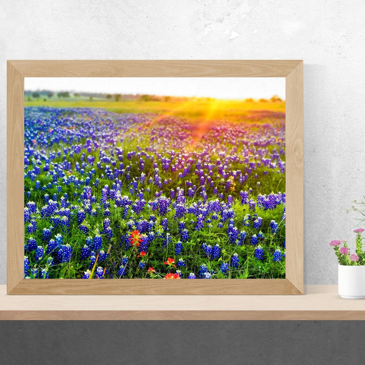 Bluebonnet Sunrise — Texas Wildflower Fine Art Photography Print