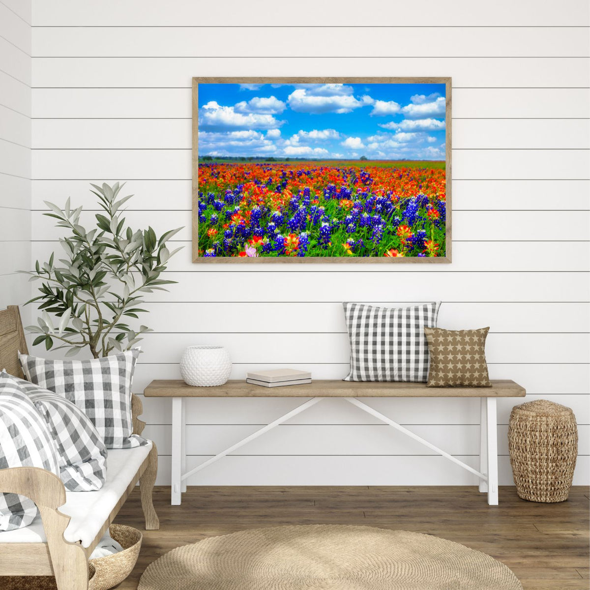 Field of Dreams — Texas Bluebonnet & Indian Paintbrush Fine Art Photography Print