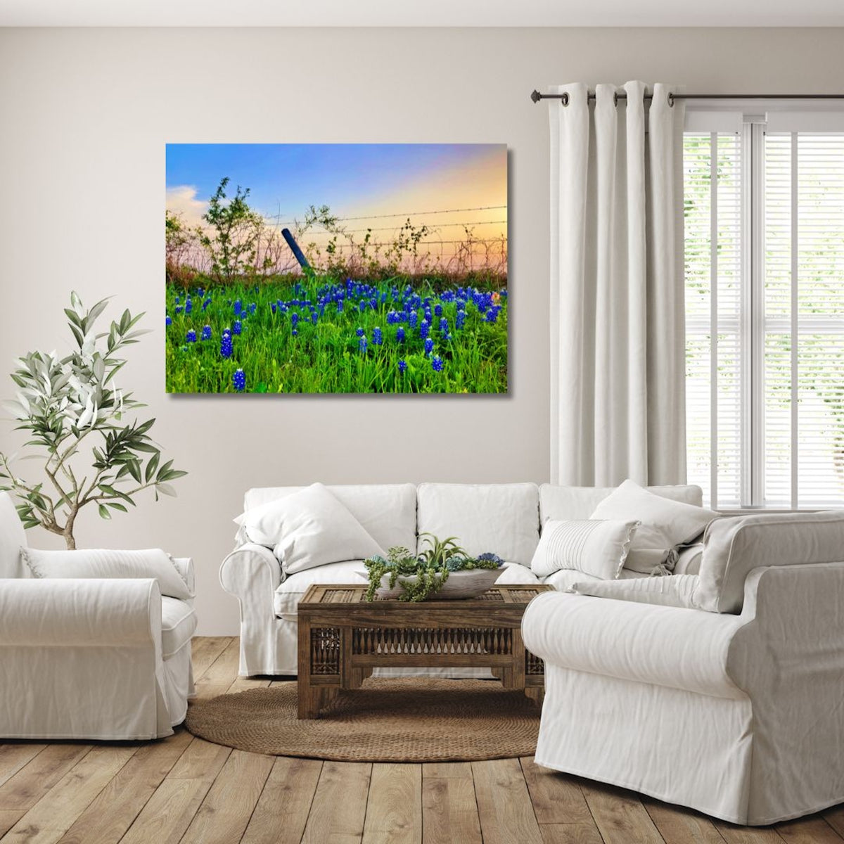 Bluebonnet Sunset — Texas Wildflower Fine Art Photography Print