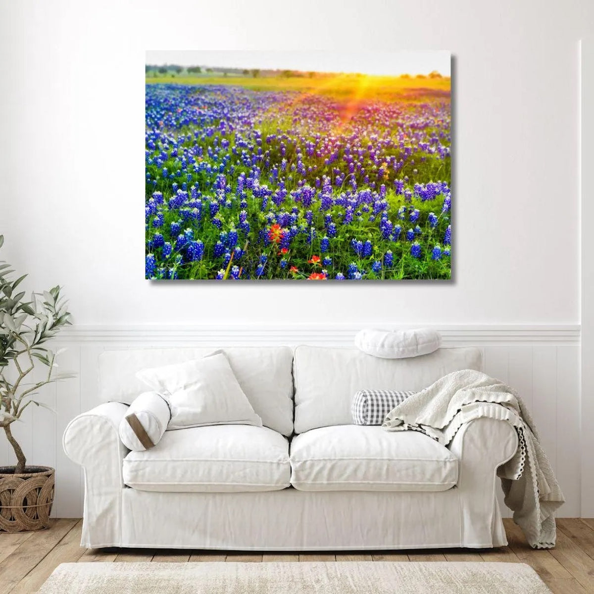 Bluebonnet Sunrise — Texas Wildflower Fine Art Photography Print