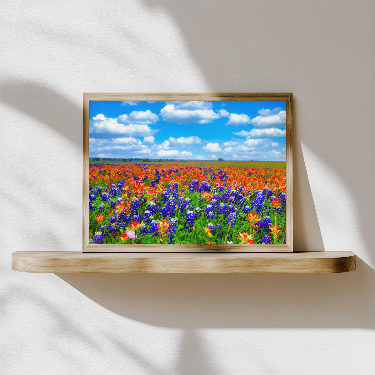 Field of Dreams — Texas Bluebonnet & Indian Paintbrush Fine Art Photography Print